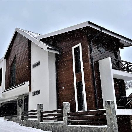 Casa Larisa - Wolves Apartment Sinaia Esterno foto