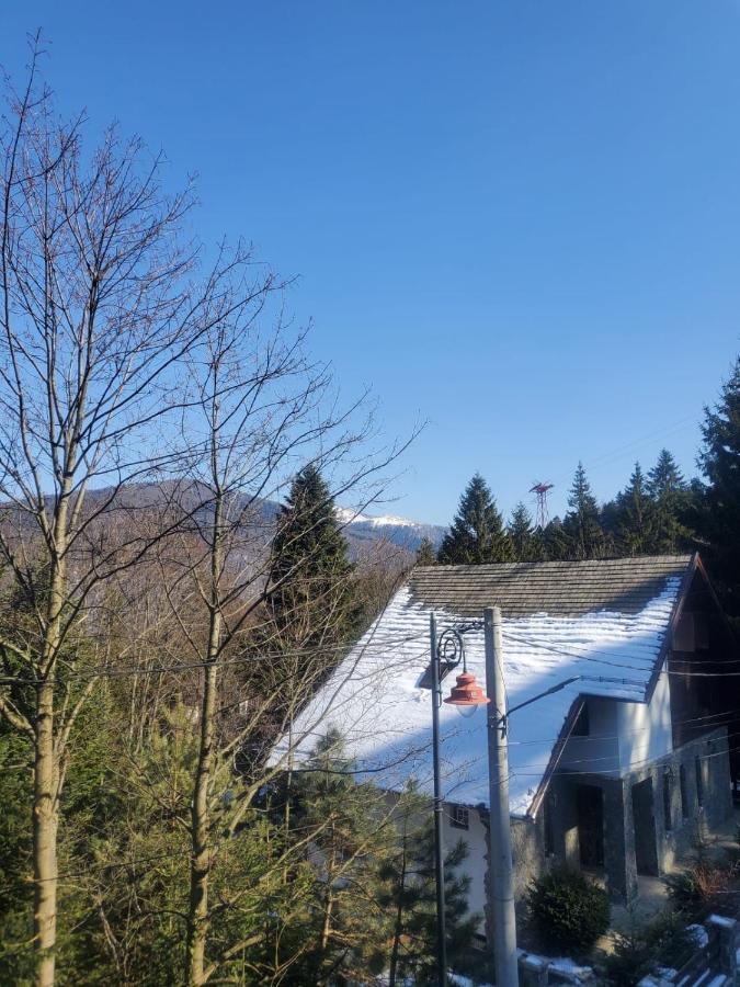 Casa Larisa - Wolves Apartment Sinaia Esterno foto