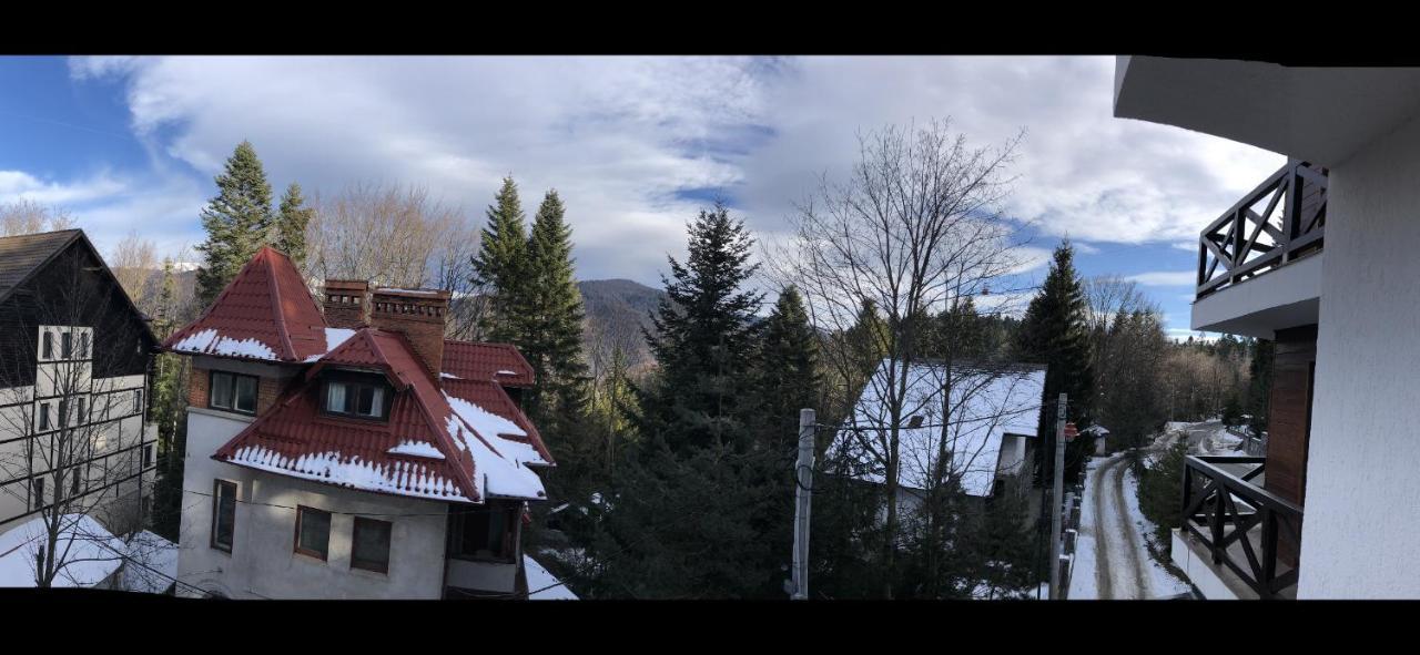 Casa Larisa - Wolves Apartment Sinaia Esterno foto