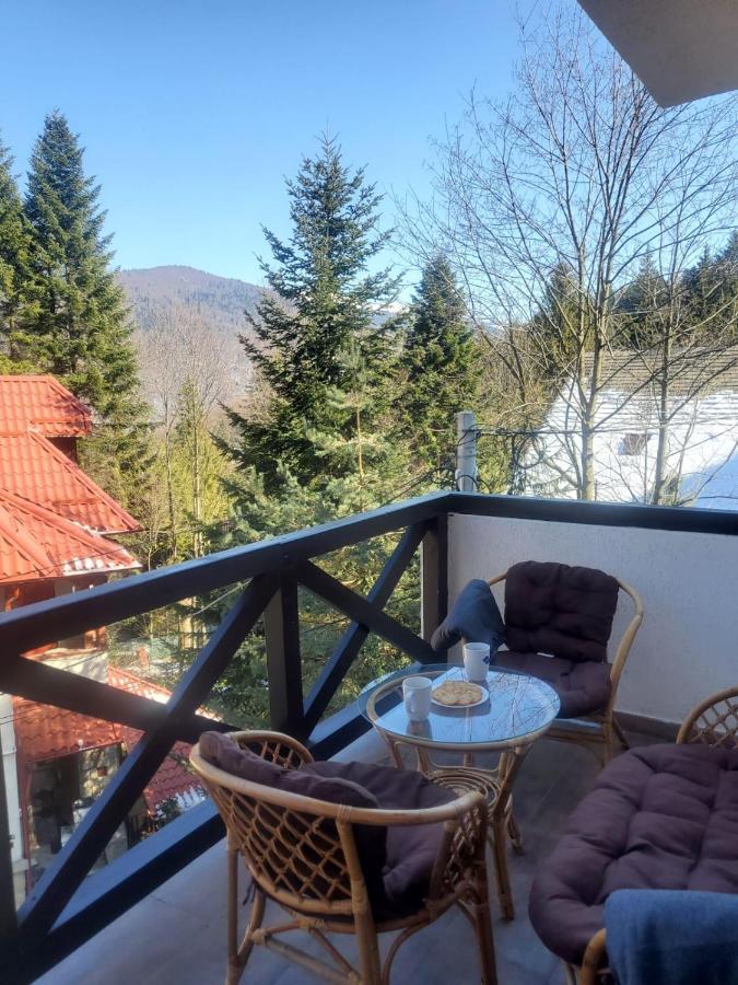 Casa Larisa - Wolves Apartment Sinaia Esterno foto