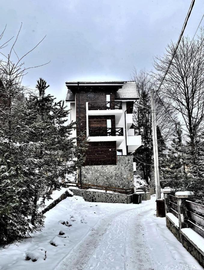 Casa Larisa - Wolves Apartment Sinaia Esterno foto
