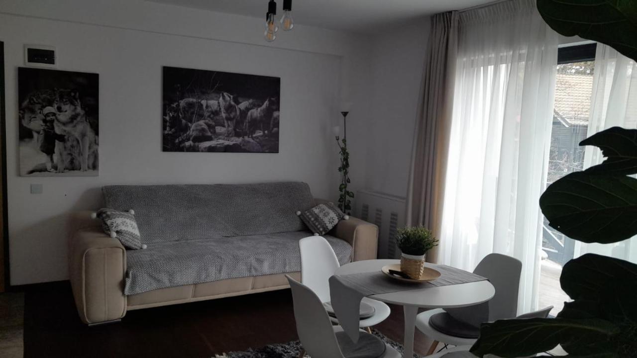 Casa Larisa - Wolves Apartment Sinaia Esterno foto