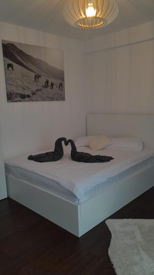 Casa Larisa - Wolves Apartment Sinaia Esterno foto
